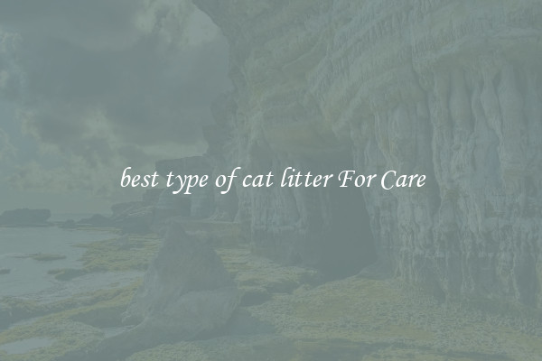 best type of cat litter For Care