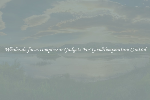 Wholesale focus compressor Gadgets For GoodTemperature Control
