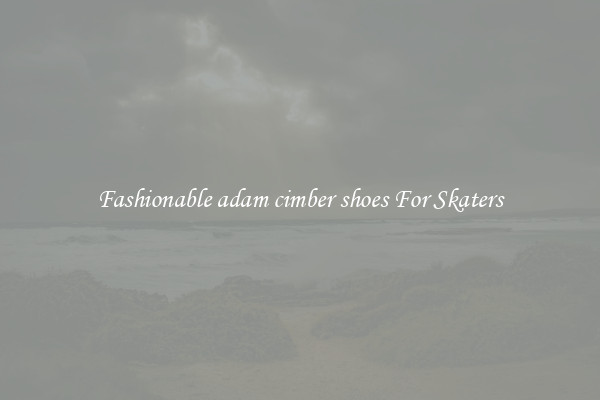 Fashionable adam cimber shoes For Skaters