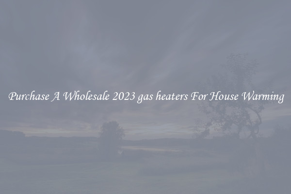 Purchase A Wholesale 2023 gas heaters For House Warming