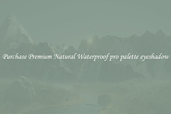 Purchase Premium Natural Waterproof pro palette eyeshadow