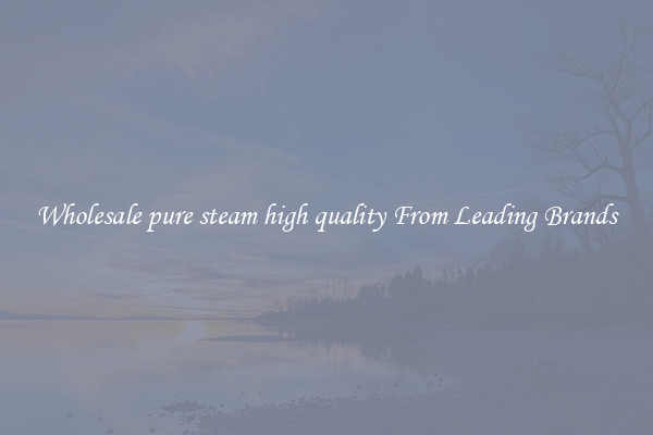 Wholesale pure steam high quality From Leading Brands