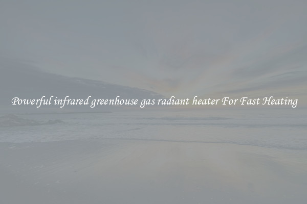 Powerful infrared greenhouse gas radiant heater For Fast Heating