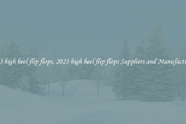 2023 high heel flip flops, 2023 high heel flip flops Suppliers and Manufacturers