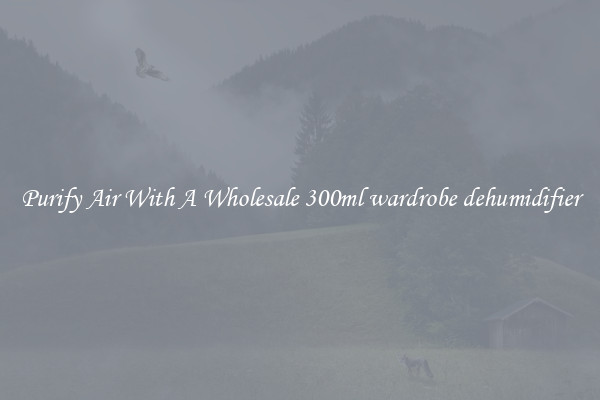 Purify Air With A Wholesale 300ml wardrobe dehumidifier