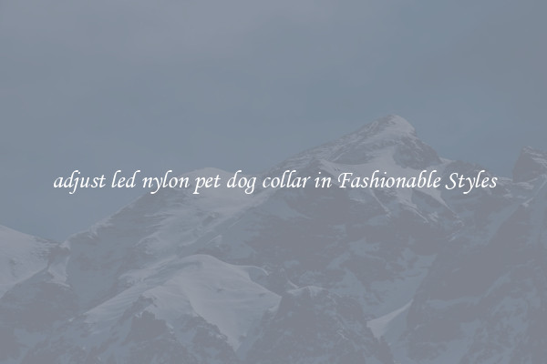 adjust led nylon pet dog collar in Fashionable Styles