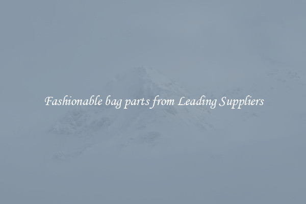 Fashionable bag parts from Leading Suppliers