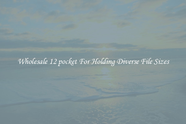 Wholesale 12 pocket For Holding Diverse File Sizes