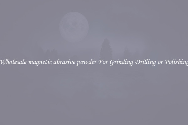 Wholesale magnetic abrasive powder For Grinding Drilling or Polishing