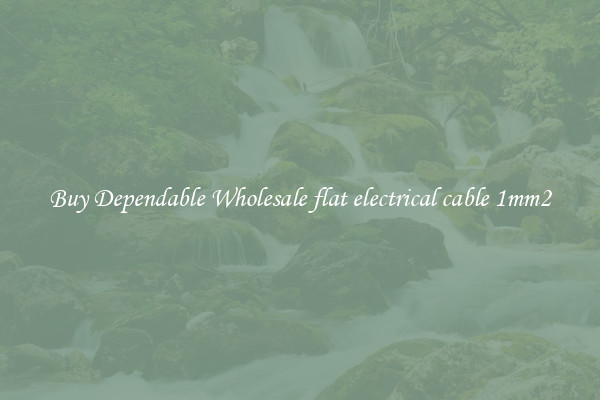 Buy Dependable Wholesale flat electrical cable 1mm2
