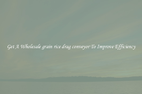 Get A Wholesale grain rice drag conveyor To Improve Efficiency