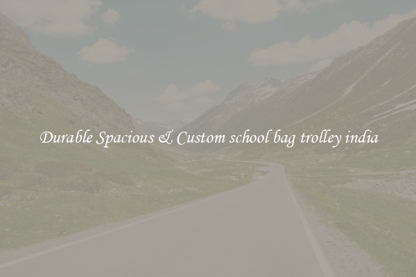 Durable Spacious & Custom school bag trolley india