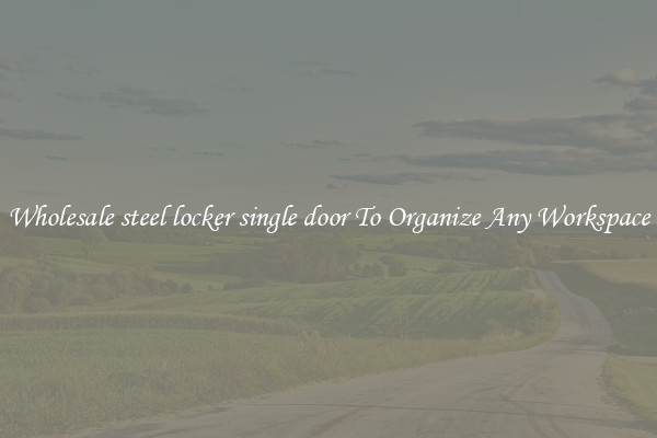 Wholesale steel locker single door To Organize Any Workspace