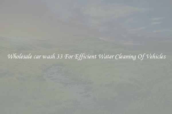 Wholesale car wash 33 For Efficient Water Cleaning Of Vehicles