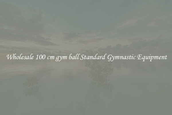 Wholesale 100 cm gym ball Standard Gymnastic Equipment
