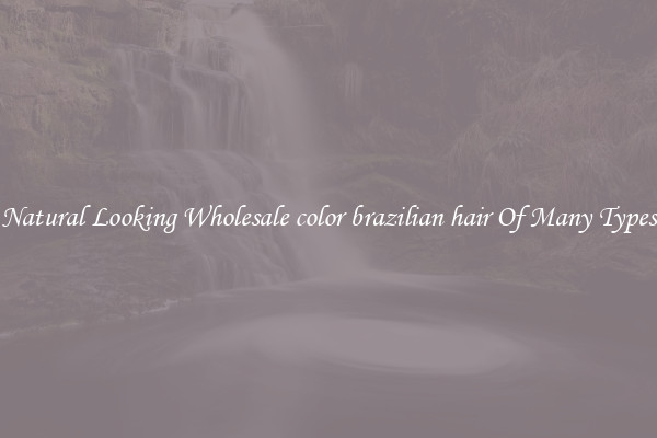 Natural Looking Wholesale color brazilian hair Of Many Types