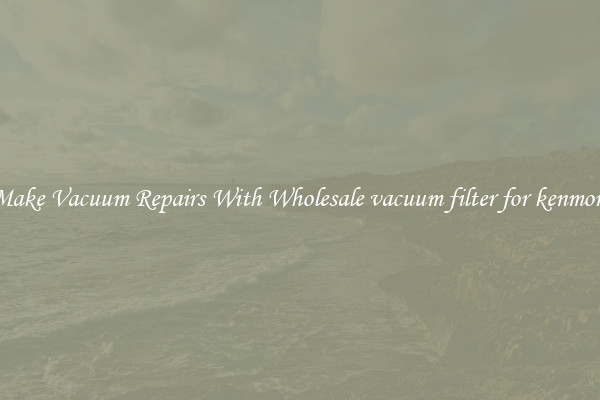 Make Vacuum Repairs With Wholesale vacuum filter for kenmore